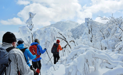 中央に見える氷ノ山頂上を眺望しながら歩く参加者