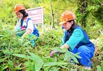 茂った雑草を刈り取る団員たち＝２３日、琴浦町山川