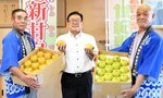 中橋部長（右）と大野副部長（左）から梨を受け取る広田市長＝２４日、倉吉市役所