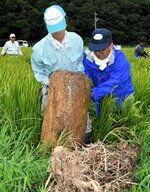 田んぼに流れ込んだ流木を取り除く農業改良普及所の職員ら＝３１日、八頭町別府