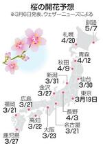 　ウェザーニューズによる今年のソメイヨシノの開花予想。トップは３月19日の東京で下旬に西日本や東日本、東北南部まで広がるとしていた
