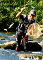 アユを釣り上げる瀬田さん＝２０２３年９月、日野町の日野川