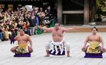 　奉納土俵入りを披露する横綱照ノ富士。太刀持ち尊富士、露払い錦富士＝東京・明治神宮