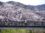 ２日、南部町法勝寺