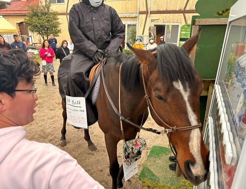 鼻で器用に自動販売機のボタンを押すアカカゲ＝１日、大山町赤松の大山乗馬センター