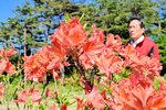 鮮やかなオレンジ色の花を咲かせたレンゲツツジ＝香美町村岡区宿の県立兎和野高原野外教育センター