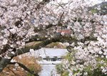 ２日、南部町法勝寺