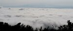 濃い霧が雲海となって境港市や中海を覆い隠した＝２９日午前８時５０分ごろ、松江市の枕木山から撮影
