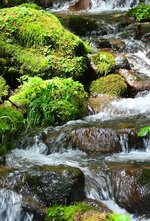 水温は１年を通じて１０度ほど