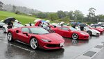 大山博労座駐車場に集結したスーパーカー＝２２日、大山町大山