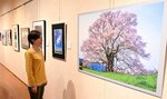 心に残る一瞬を捉えた作品が並ぶ会場＝鳥取市青谷町青谷のあおや郷土館