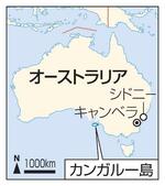 　オーストラリア・カンガルー島、キャンベラ、シドニー