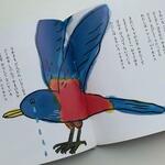 　ルリカケス