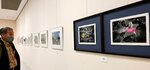 会員の写真作品が並ぶ会場