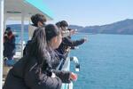 　三陸海岸を代表する景勝地・浄土ケ浜で遊覧船に乗り、ウミネコにえさをやる「地元修学旅行」の参加者＝２０２４年３月、岩手県宮古市（みやっこベース提供）