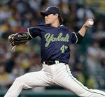 　阪神戦に先発したヤクルト・高橋＝甲子園