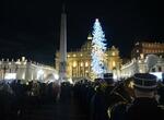 　バチカンのサンピエトロ広場に設置されたクリスマスツリー＝７日（共同）