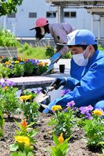 倉吉駅北口の花壇を整備する倉吉農高の生徒＝２０２３年５月10日