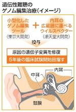 　遺伝性難聴のゲノム編集治療（イメージ）