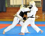 気合を入れて技を繰り出す選手＝９日、香美町村岡区の村岡体育館