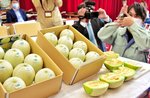 糖度を調べるＪＡ鳥取中央の職員＝９日、倉吉市越殿町のＪＡ鳥取中央本所