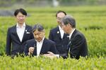 　埼玉県入間市の県茶業研究所で狭山茶の品種育成について説明を受けられる天皇陛下＝２４日午後
