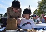 ツタンカーメンの砂像に挑戦する親子連れ＝１３日、鳥取市東町２丁目の県立博物館