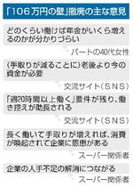 　「１０６万円の壁」撤廃の主な意見