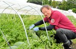 極実スイカを収穫し、自然と笑みをこぼす川口さん＝２２日、倉吉市服部