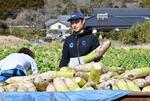 　「地域おこし協力隊」として農家を訪れ、収穫した大根を積むヴェロスクロノス都農の選手＝２月、宮崎県都農町