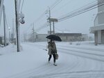 吹雪の中を歩く女性=8時55分ごろ、24日鳥取市の湖山街道