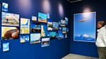 青空と勇壮な飛行機の姿が目を引く作品群