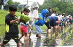 田植えを楽しむ親子連れら＝２５日、伯耆町丸山