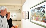 ヒガンバナ咲く風景とコウノトリをモチーフにした坂田さんの剪（せん）画などが展示された会場＝豊岡市小島の県立円山川公苑美術館