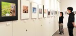 ２団体の会員の作品が並ぶ会場