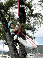 気持ち良さそうにツリークライミングを楽しむ子どもたち