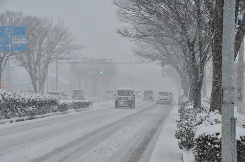 24日午前８時５５分ごろ、米子市両三柳