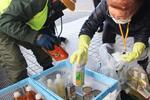 　航空機用再生燃料（ＳＡＦ）の原料となる廃食油を回収する作業員＝１月、東京都足立区