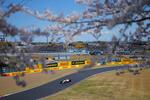　フリー走行するレッドブルの角田裕毅＝鈴鹿サーキット