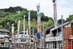 まつりの到来を告げる大のぼり。今年もお目見えした＝２９日、新温泉町湯の湯村温泉街