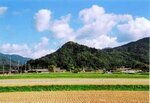 市場城跡の遠景＝八頭町市場（提供）