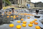 ユズの香りを楽しみながら体を温める入浴客＝２２日、三朝町三朝の河原風呂