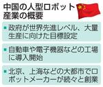 　中国の人型ロボット産業の概要