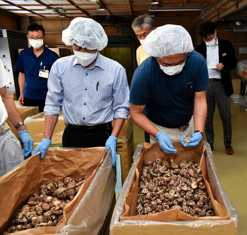 出品された乾シイタケを手に取って出来栄えを確認する審査員ら