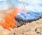 山焼きによって炎と煙に包まれる高原＝１３日、新温泉町の上山高原