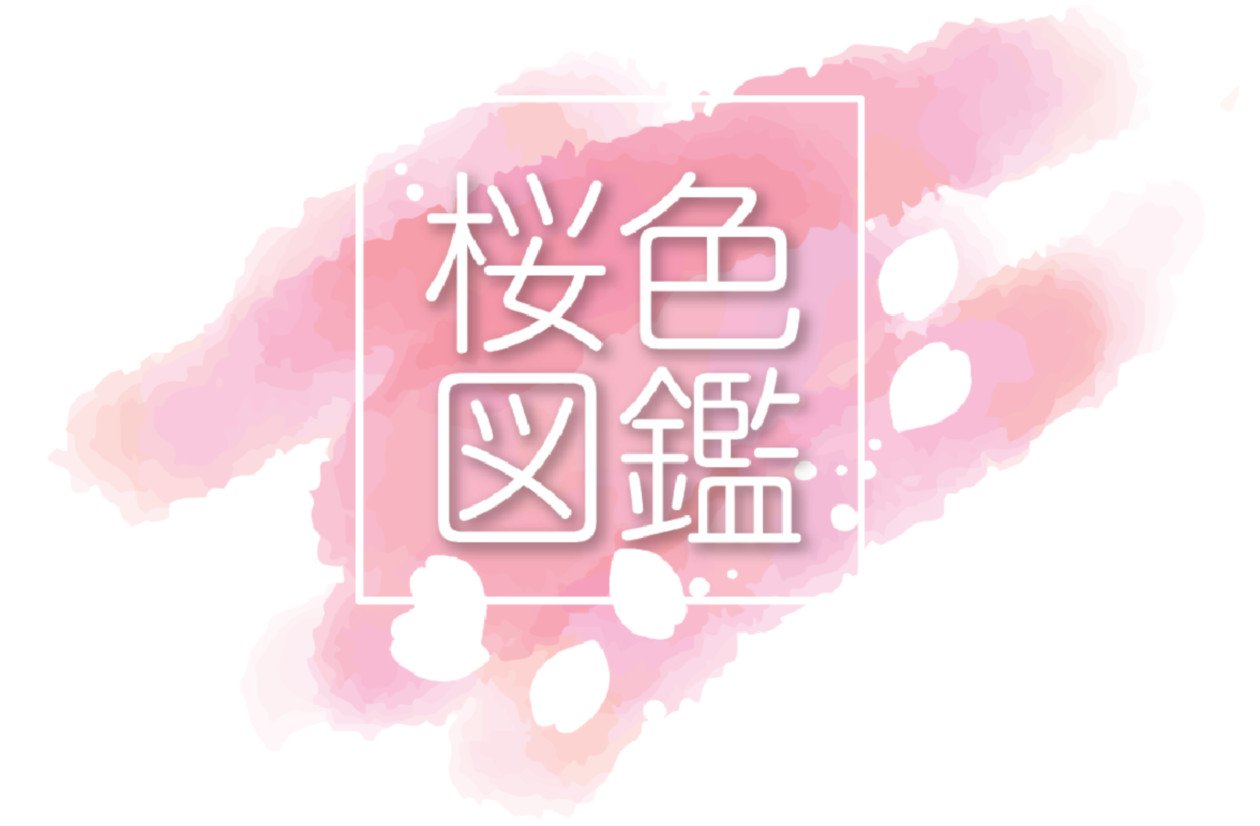 桜色図鑑