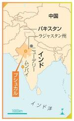 　インド・ラジャスタン州プシュカル、ニューデリー