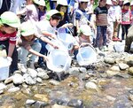 「大きくなってね」と声をかけながら稚アユを放流する園児ら＝１７日、智頭町篠坂の千代川