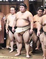 朝稽古を見つめる伯桜鵬＝２９日、東京都墨田区の宮城野部屋