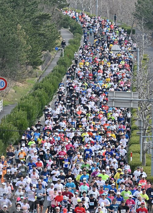 一斉にスタートして道路を埋め尽くす走者＝１７日、鳥取市浜坂